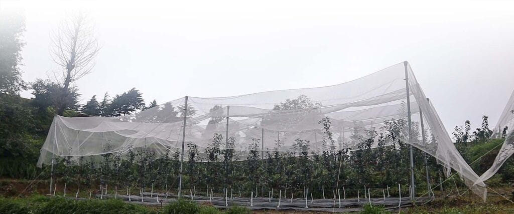 Modern Approaches to Organic and Sustainable Orchard Management
