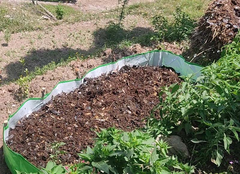 Vermi Compost Pack Pack