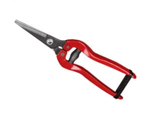 Fruit Cutter