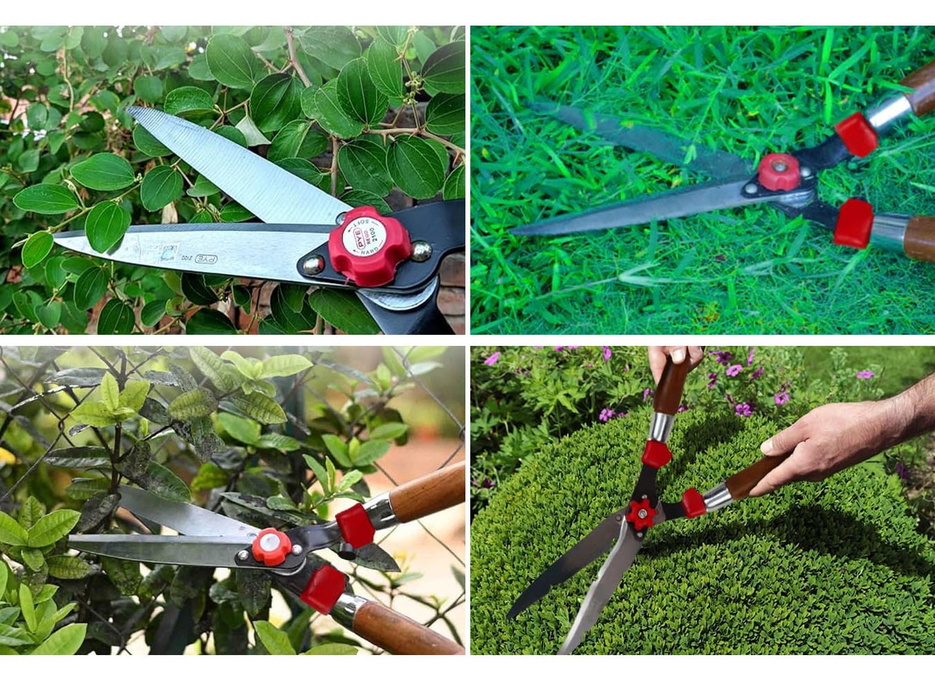 Hedge Shear - Image 3